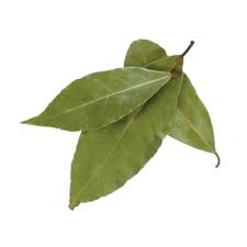 laurierblad olie